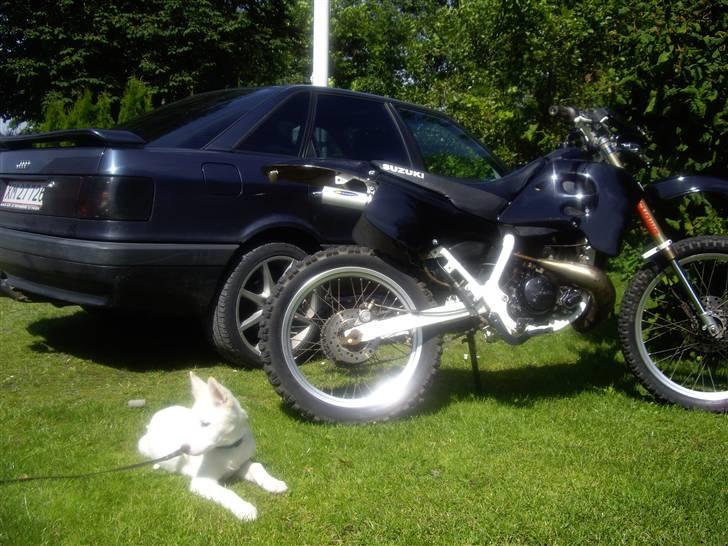 Suzuki RMX  - - RMX´en , Audi´en og ham den bette Husky - billede 13