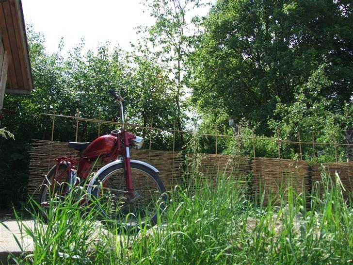 Sco super  3 gear billede 2