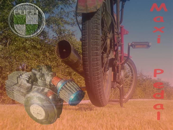 Puch Maxi P  - Ja det er så noget jeg har lavet i Photoshop... billede 15