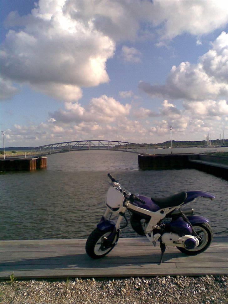 Suzuki Street Magic Ac (SOLGT) billede 7