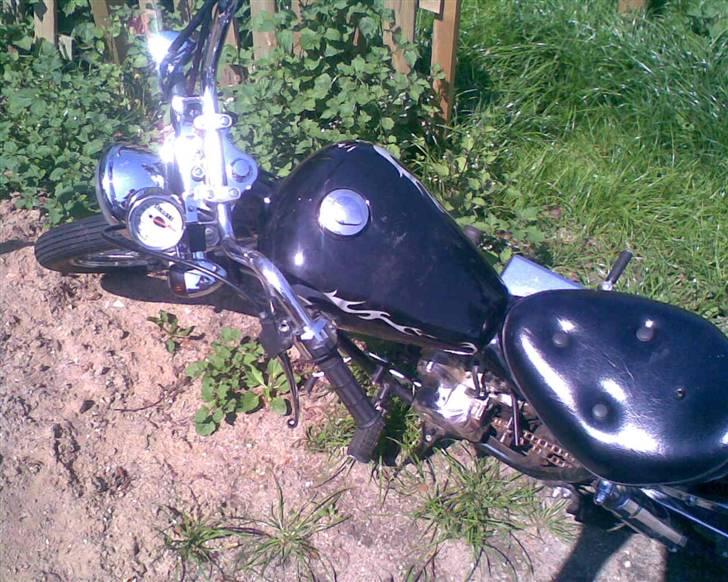 Regal raptor byttet med sfx billede 1