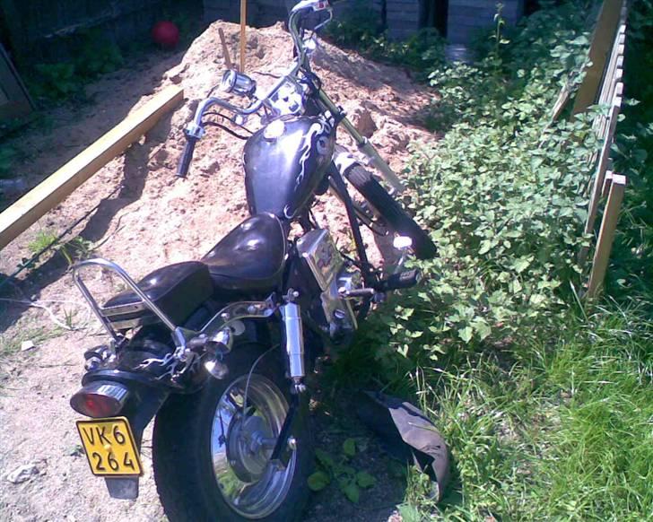 Regal raptor byttet med sfx billede 2