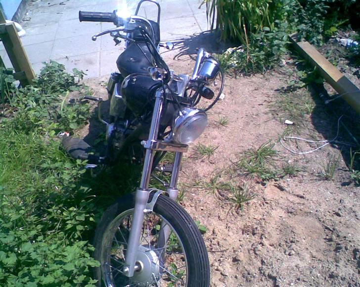 Regal raptor byttet med sfx billede 3