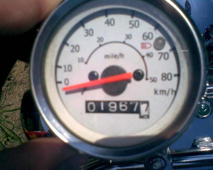 Regal raptor byttet med sfx billede 4