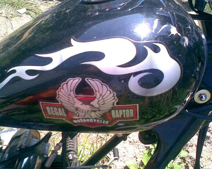 Regal raptor byttet med sfx billede 5