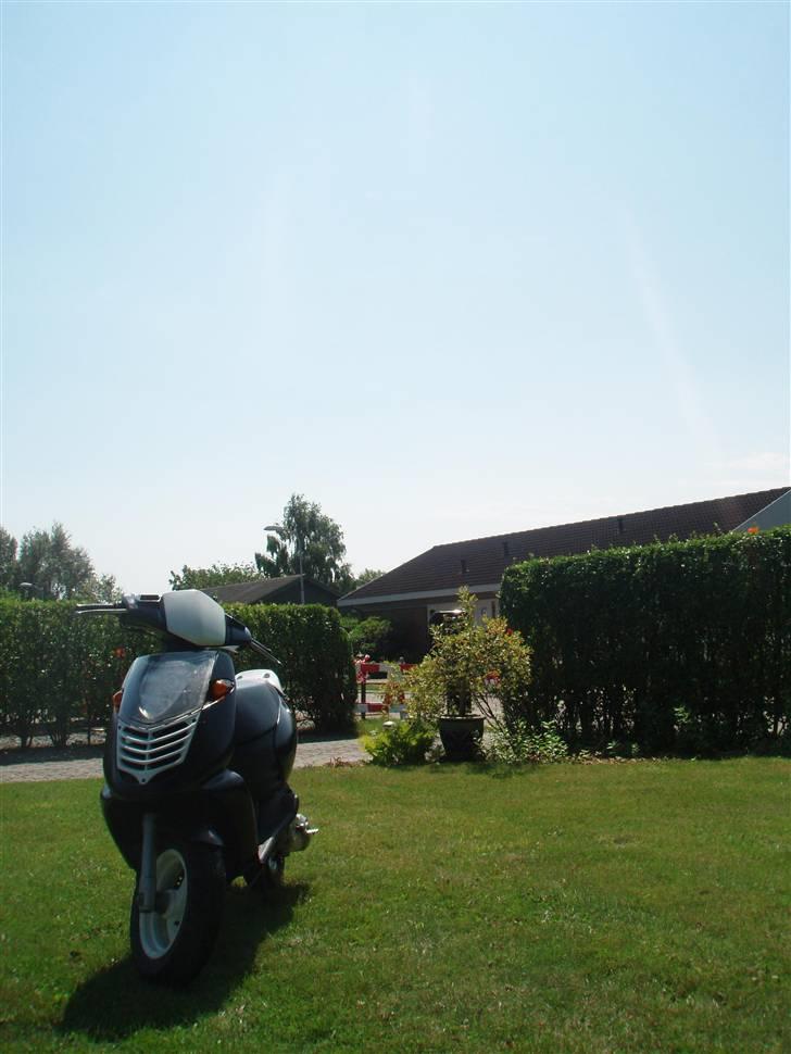 Aprilia Sonic * SOLGT * - ny vasket billede 13