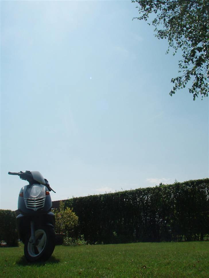 Aprilia Sonic * SOLGT * - ny vasket billede 14