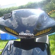 Honda SFX [Hvepsen]