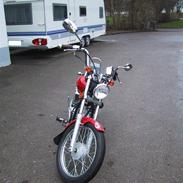 Regal raptor (solgt)