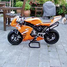 Blata Blata Elite 14 WRS