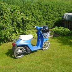 Honda melody (Solgt)