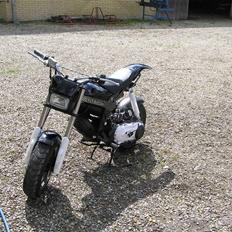 Suzuki street magic (Byttet)