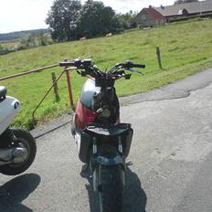 PGO BIG MAX (solgt)