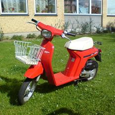 Honda Melody Mini NT 50