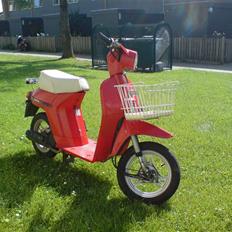 Honda Melody Mini NT 50