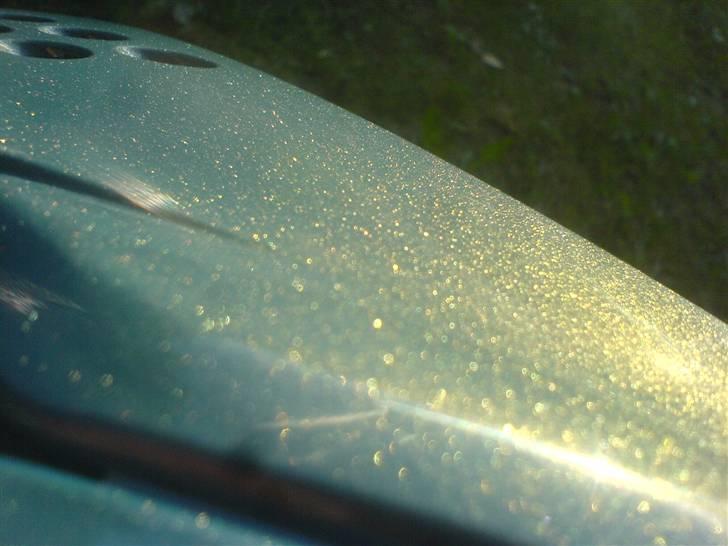 Peugeot speedfight 2 *solgt* - nye skjolde billede 12