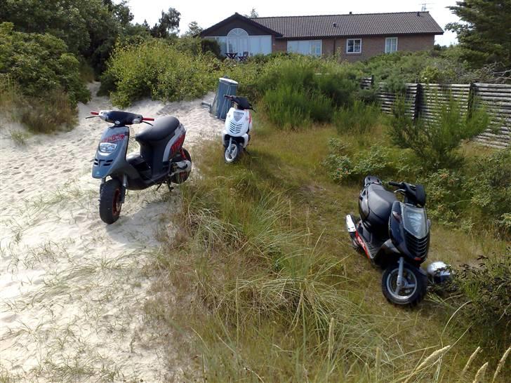 Aprilia Sonic GP SBK - SOLGT - Udflugt til stranden (: 15/7-06 billede 12