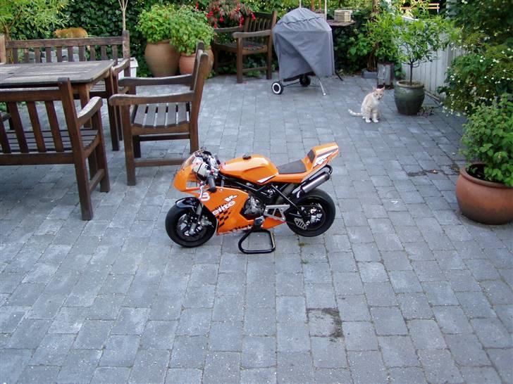 Blata Blata Elite 14 WRS billede 2