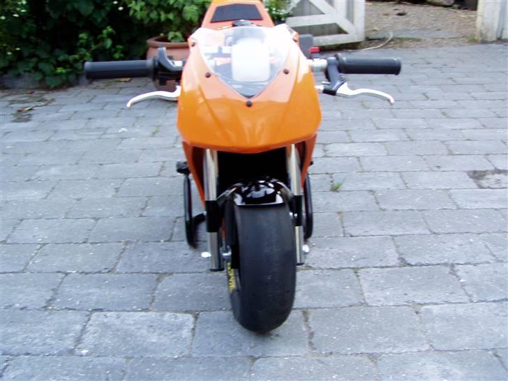 Blata Blata Elite 14 WRS billede 5