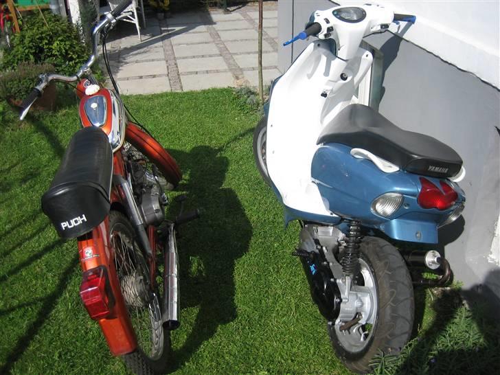 Puch MS50 Super  billede 9