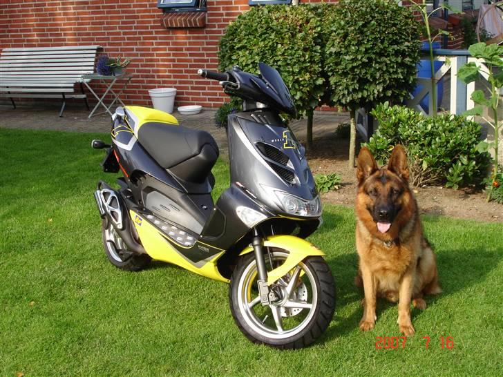 Aprilia SR50 Ditech - SOLGT - Her vogter jeg! billede 3