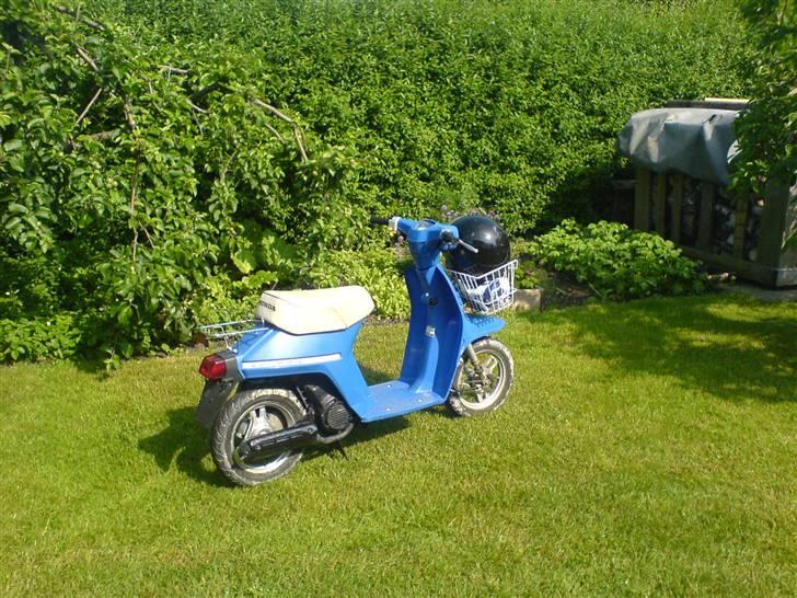 Honda melody (Solgt) billede 2