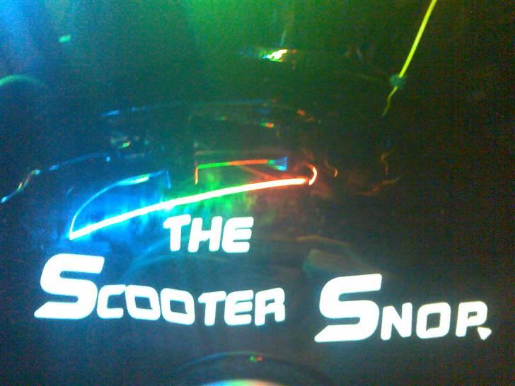 Regal Regal Raptor *SOLGT* billede 9