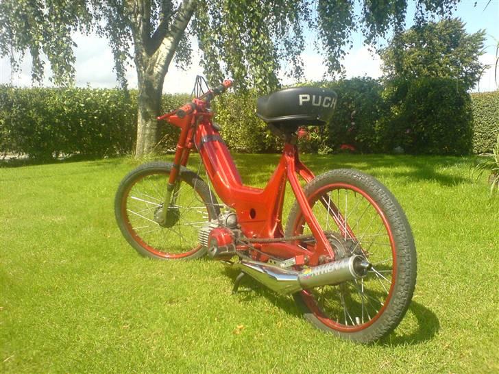 Puch Maxi billede 7