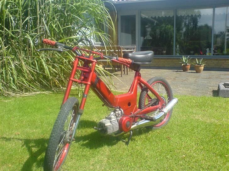Puch Maxi billede 8