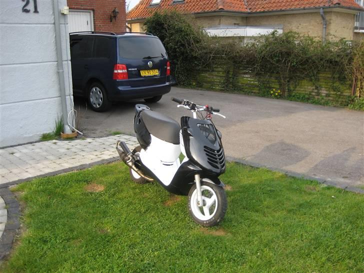 Aprilia sonic  - med de nye skjolde billede 1