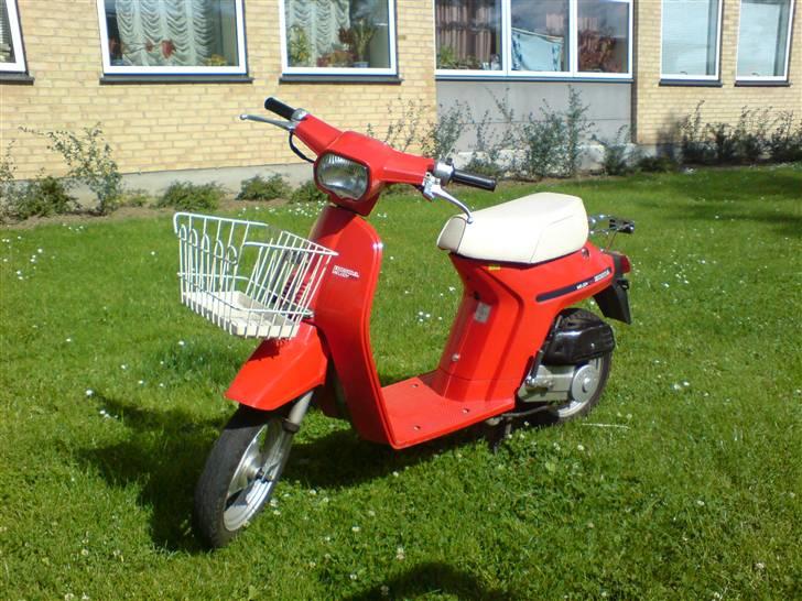 Honda Melody Mini NT 50 billede 1
