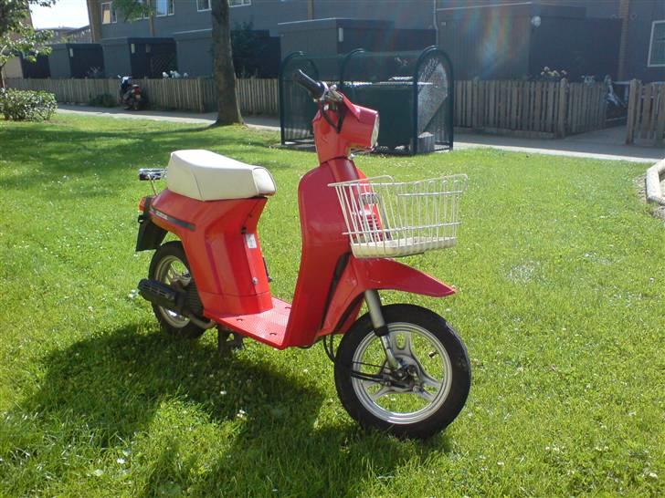 Honda Melody Mini NT 50 billede 2