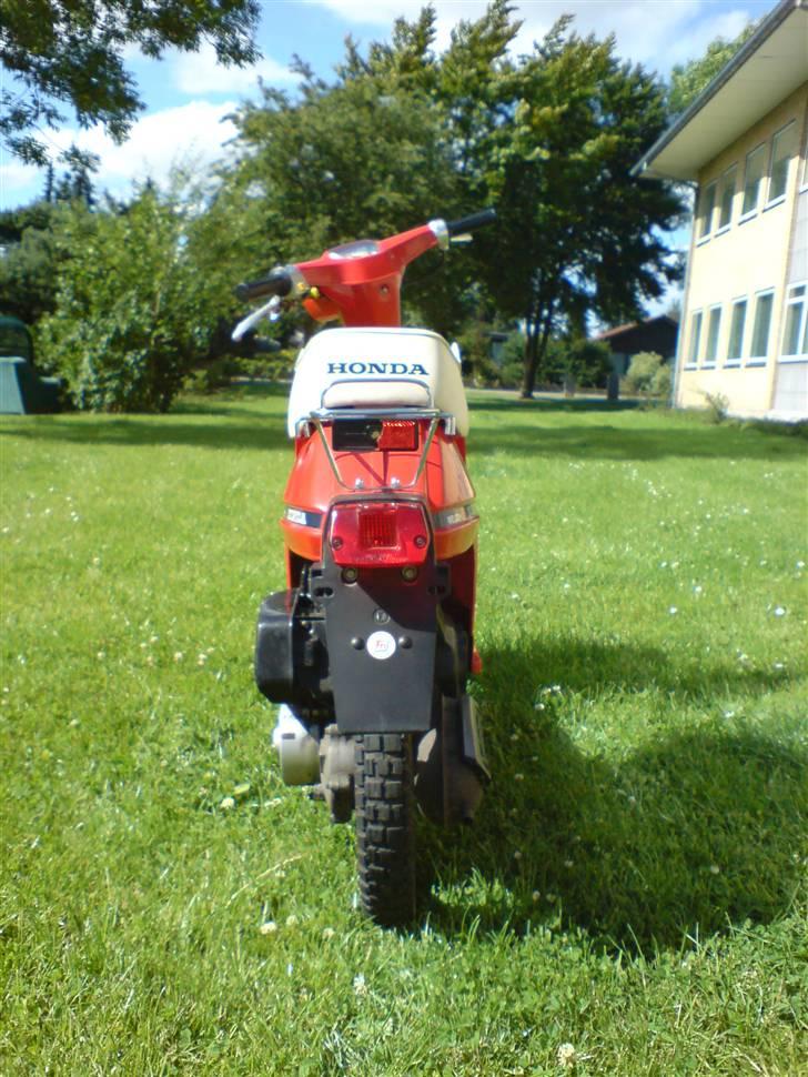 Honda Melody Mini NT 50 billede 6