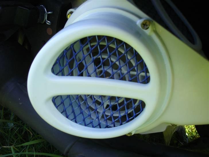 PGO Black magic :)  - Grisetryne med blåt alu gitter billede 11