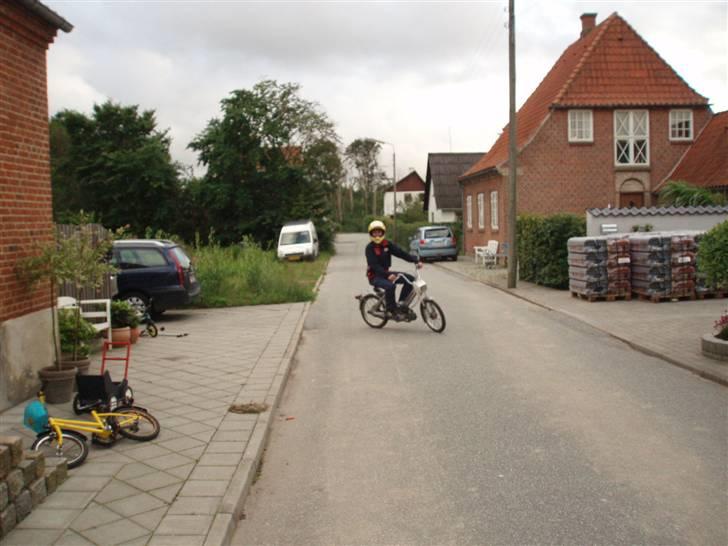 Puch Maxi K billede 8