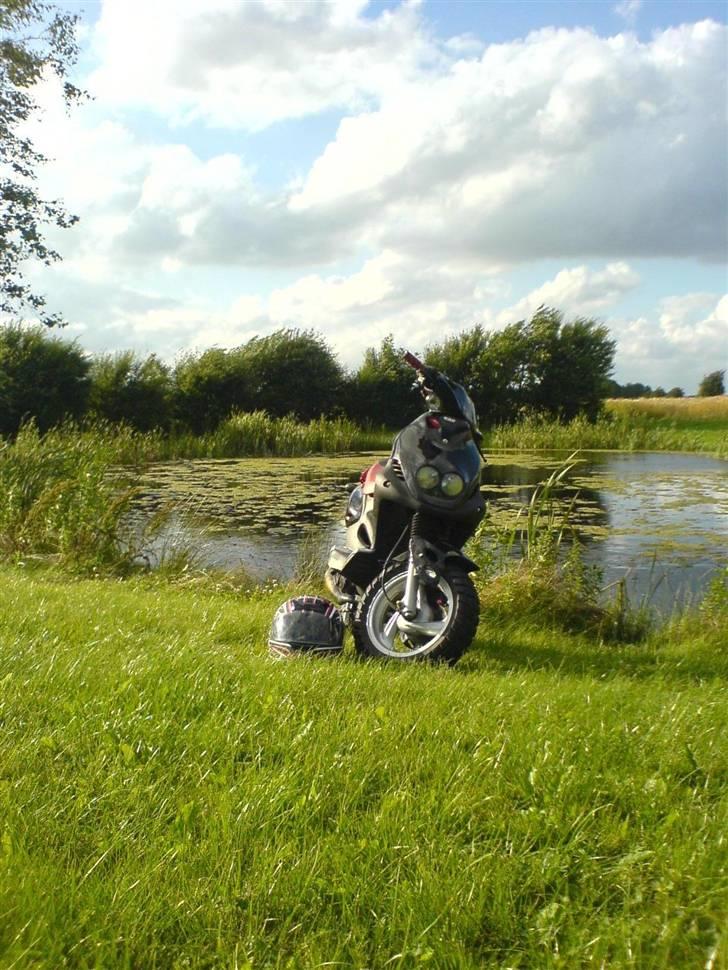 PGO PMX Sport "tilsalg" billede 11