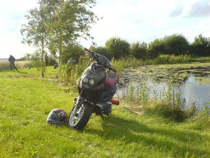 PGO PMX Sport "tilsalg" billede 12