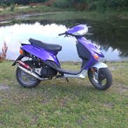 Adly Arriva ( SOLGT )