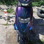 Gilera stalker