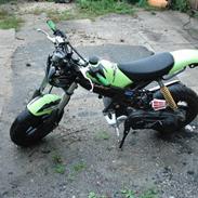Suzuki street magic