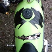 Suzuki street magic