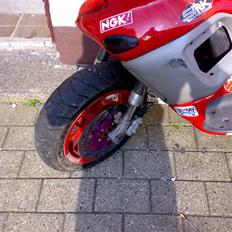 Gilera Runner EVO LC SOLGT