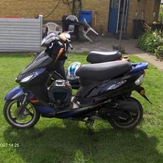 Giantco sprint sport