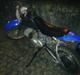 MiniBike ˜”°º•-. 125Cc.-•º°”˜