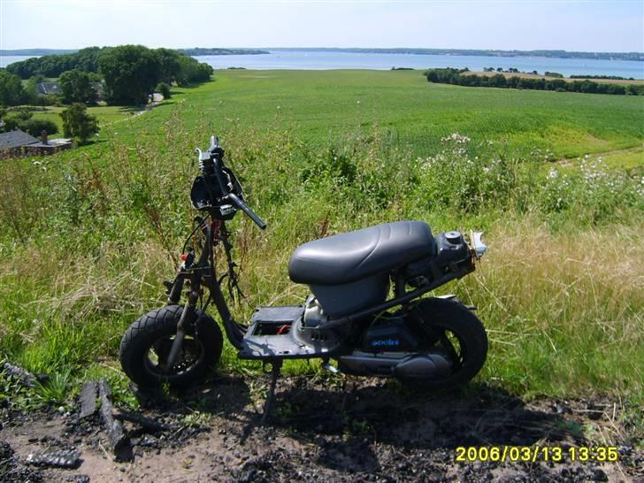 PGO hot 50 solgt billede 2