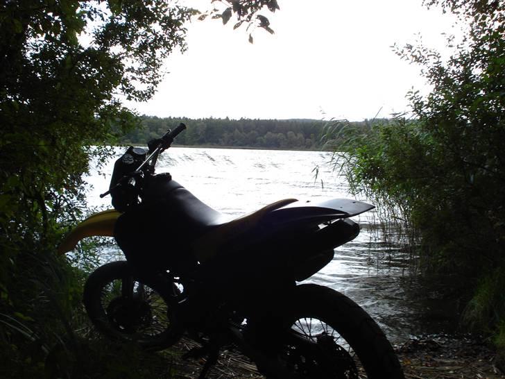 Suzuki SMX *Byttet til SSM* - En af de dejlige Silkeborg Søer =D billede 3