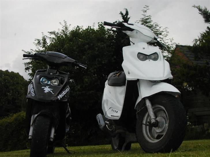 PGO Hotte Lotte billede 4