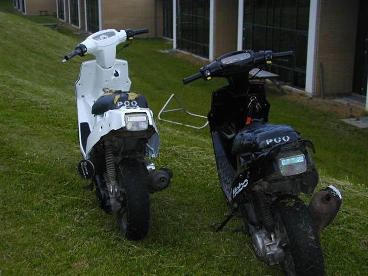 PGO Hotte Lotte billede 5