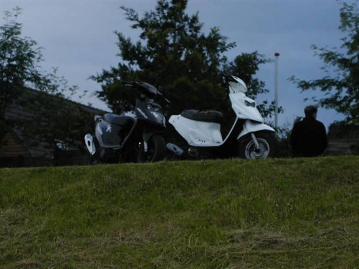 PGO Hotte Lotte billede 8