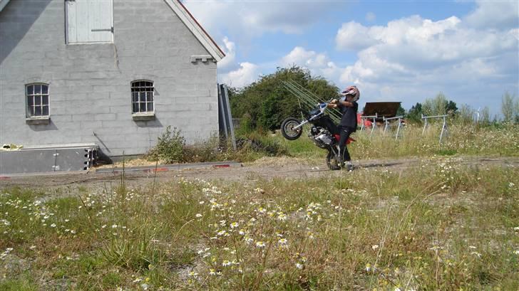 MiniBike dirt bike 110ccm billede 12